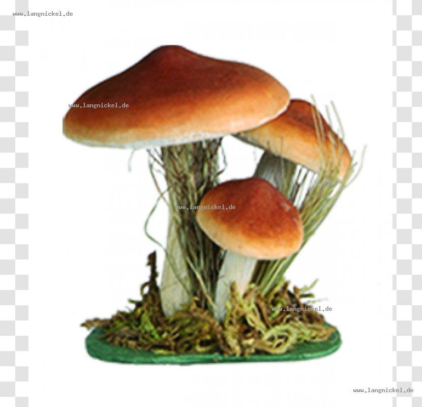 Edible Mushroom Fungus - Braun Strowman Transparent PNG