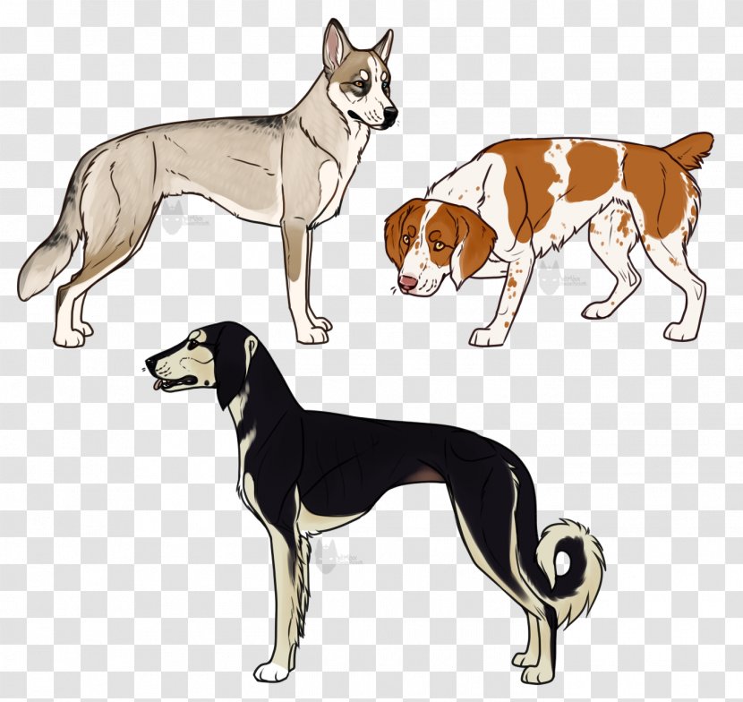 Dog Breed Whippet Sloughi Italian Greyhound Saluki - Like Mammal - German Shepherd Husky Mix Transparent PNG