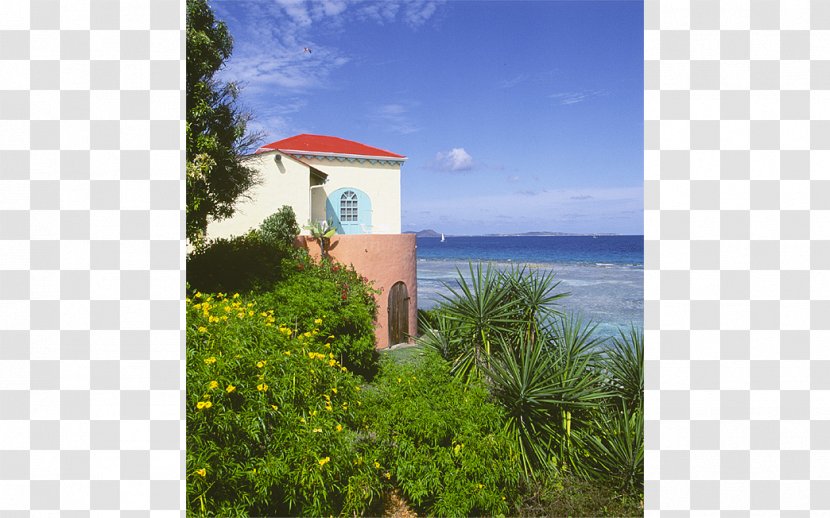Caye Chapel Pusser's Marina Cay Resort Scrub Island Resort, Spa & Marina, Autograph Collection - Sky Transparent PNG