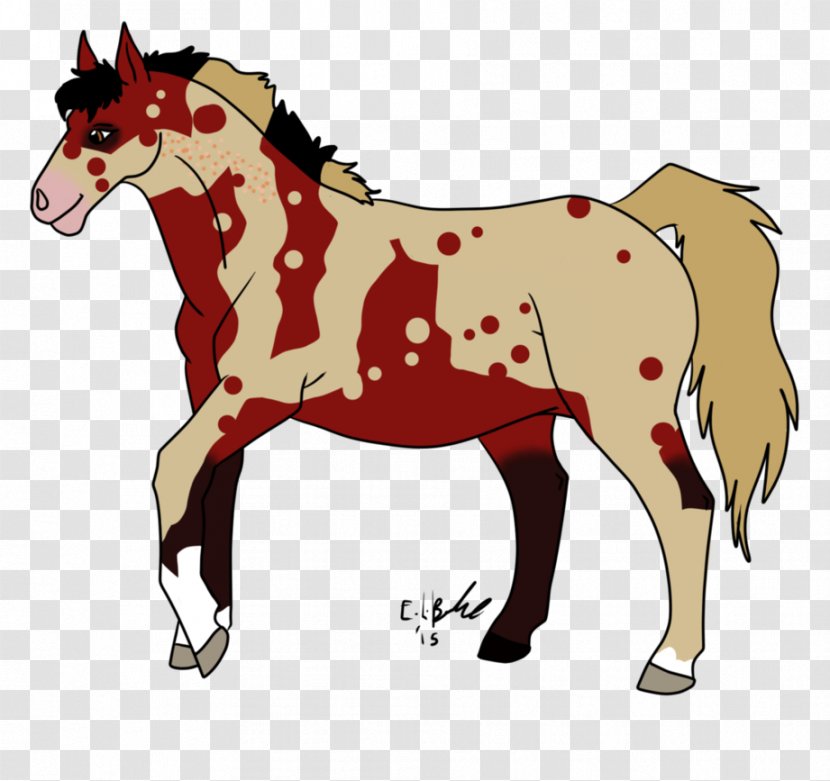 Mule Foal Mustang Stallion Mare - Halter Transparent PNG