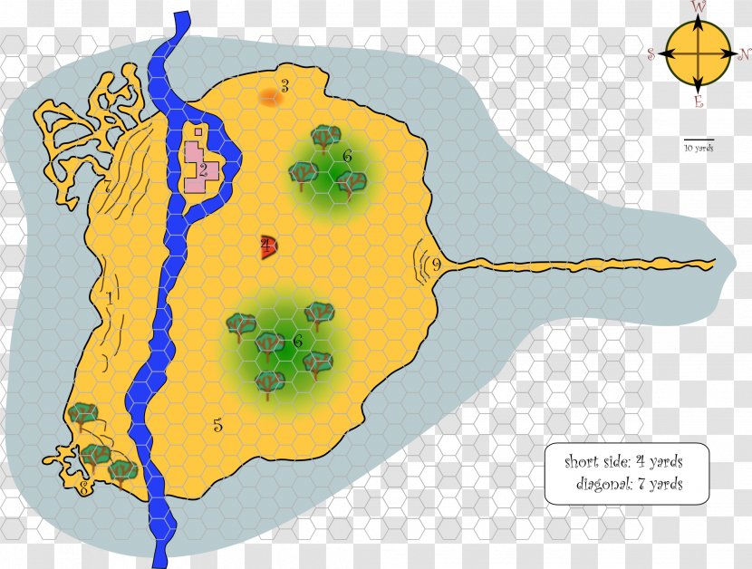 Cartoon Water Map - Organism Transparent PNG