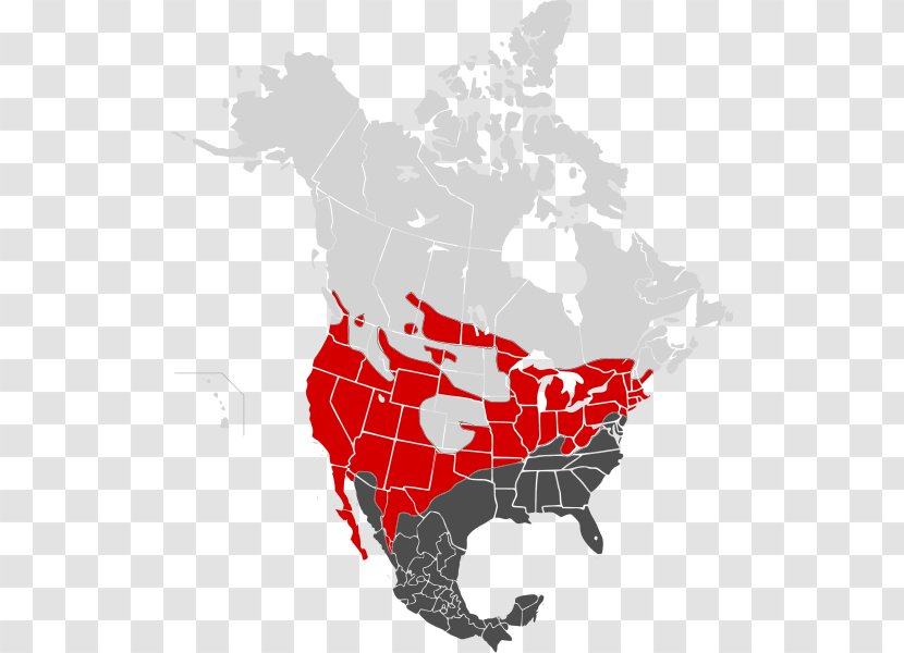 Canada–United States Border Mexico Map - Towhee - United Transparent PNG