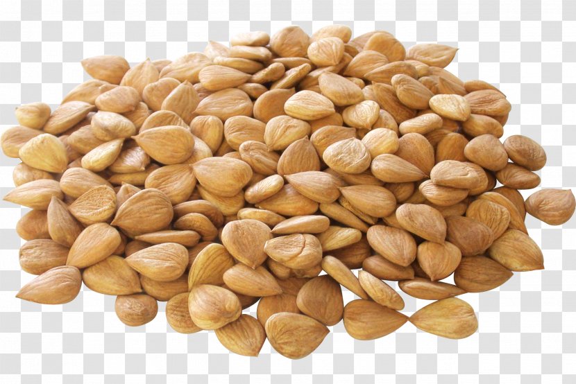 Apricot Kernel Nut Seed Almond - Ingredient Transparent PNG