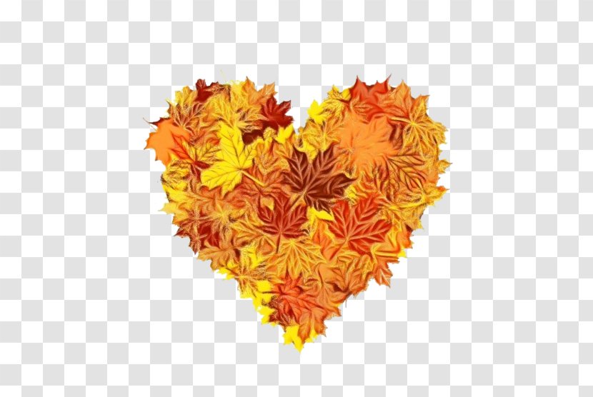 Love Background Heart - Leaf - Tagetes Flower Transparent PNG