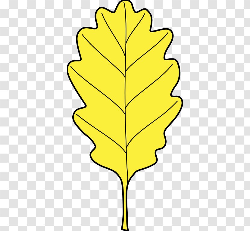 Leaf Eichenlaub Sessile Oak Clip Art Branch - Heraldry - Nouvelles Feuilles Transparent PNG