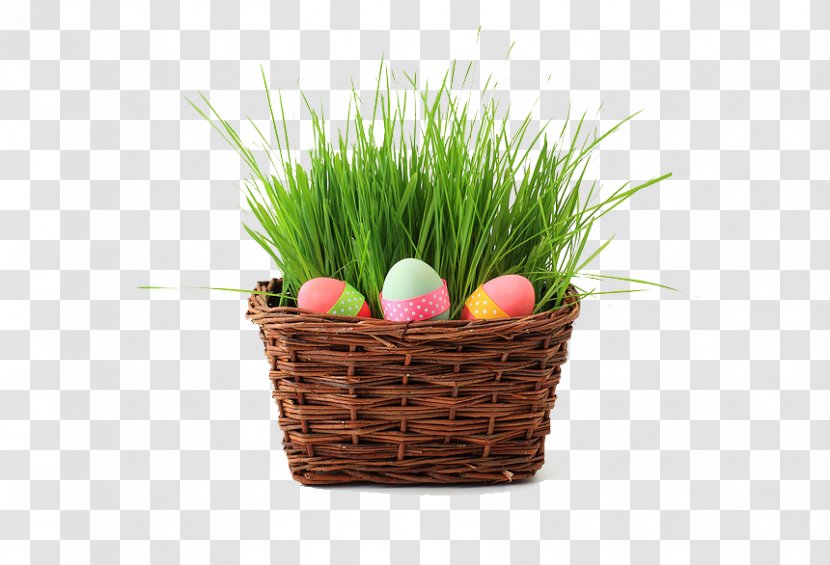 Easter Bunny Egg Wish Hunt - Message - Grass Basket And Eggs Transparent PNG