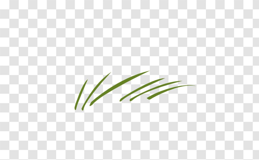 Leaf Logo Grasses Plant Stem Font Transparent PNG