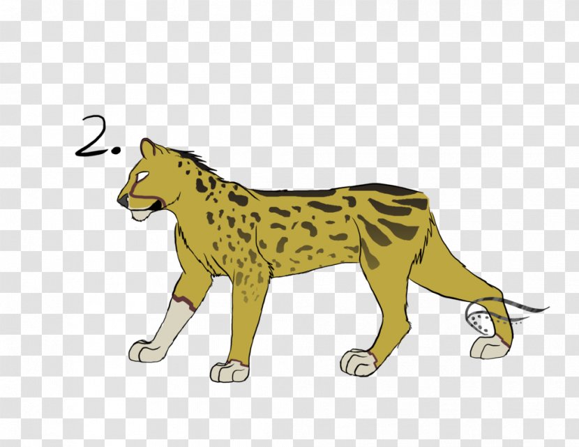 Lion Cheetah Tiger Puma Wildlife - Organism Transparent PNG