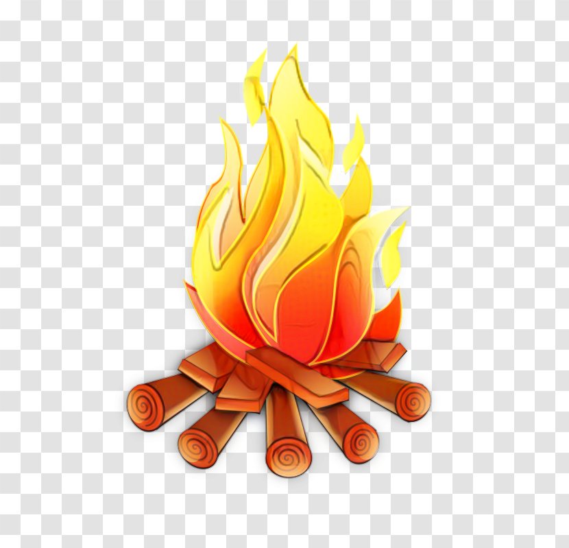 Campfire Cartoon - Wildfire - Plant Orange Transparent PNG