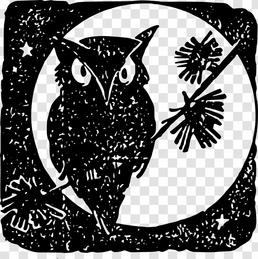 Owl Bird - Beak Transparent PNG