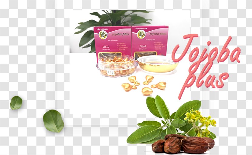 Jojoba Oil Skin Care Cream Health - Cymbopogon Martinii Transparent PNG