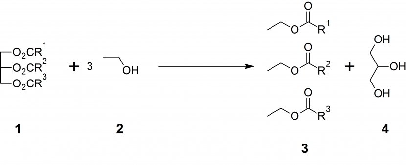 Glycerol Transesterification Triglyceride Biodiesel Production - Saponification - Lipid Transparent PNG