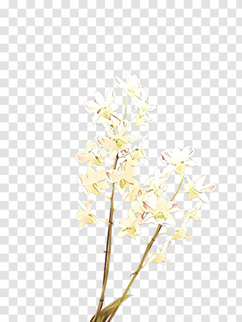 White Flower Branch Plant Twig Transparent PNG