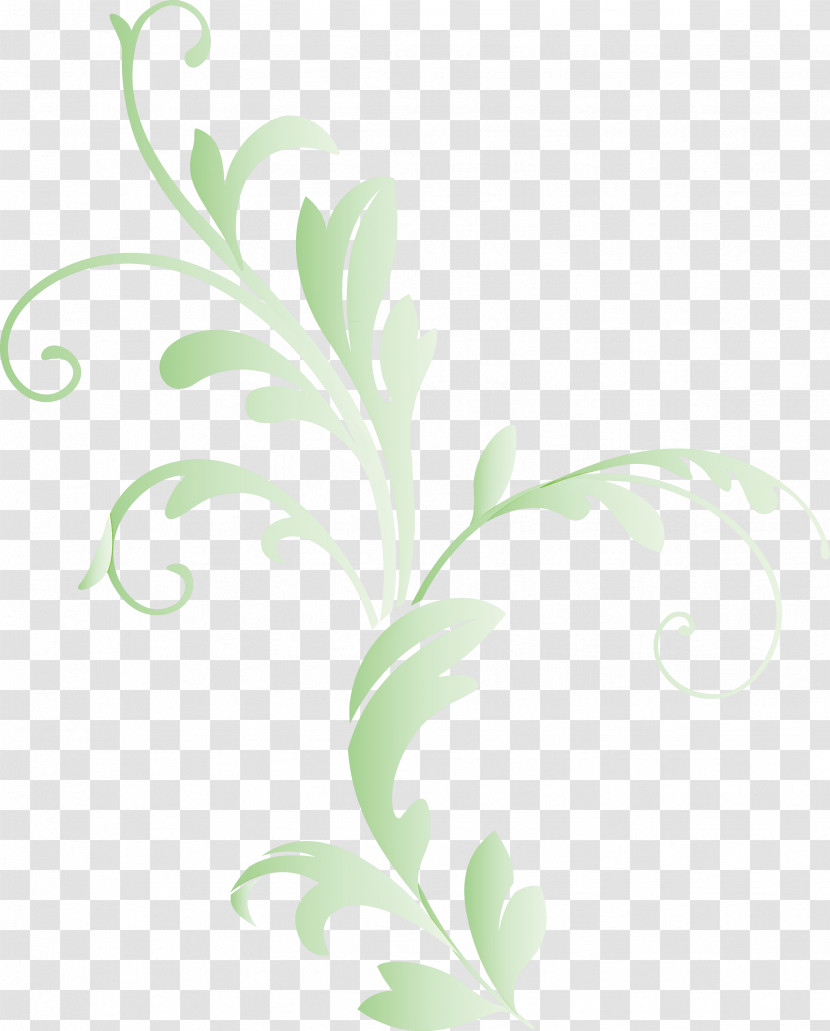 Decoration Frame Floral Frame Flower Frame Transparent PNG