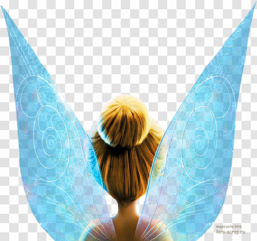 Tinker Bell Disney Fairies Vidia Peeter Paan Princess - And The Pirate Fairy - Wings Transparent PNG