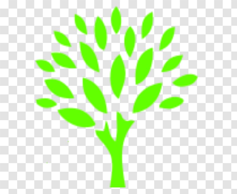 Image Clip Art Go Green Auto Spa Tree - Branch - Travel Transparent PNG