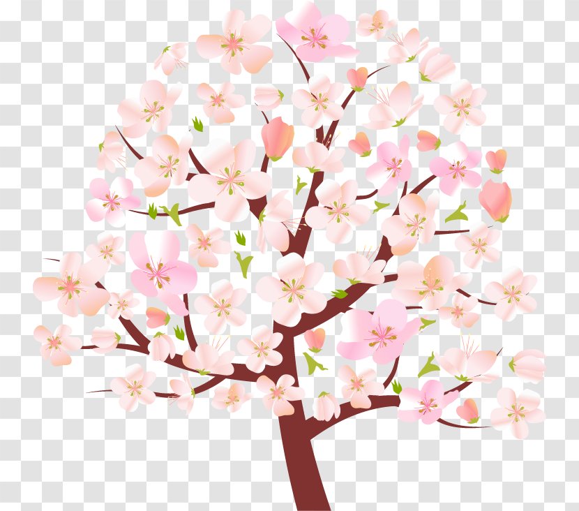 Tree Spring Cherry Blossom Clip Art - Drawing - Cartoon Transparent PNG