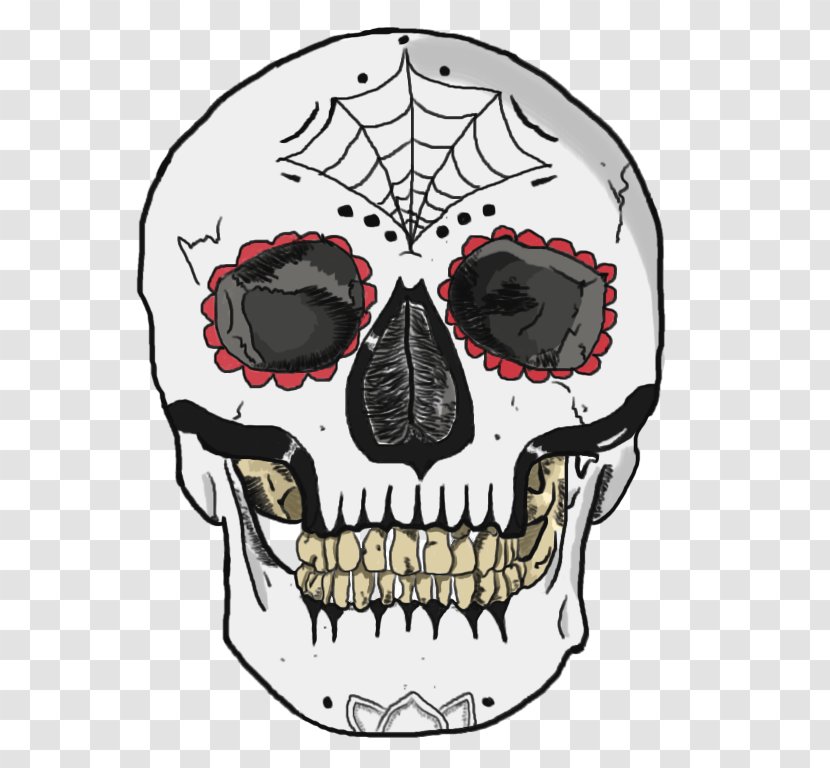 Human Skull Symbolism Logo - Illustrator Transparent PNG