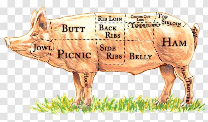 Domestic Pig Primal Cut Of Pork Meat Bacon - Sliced Transparent PNG