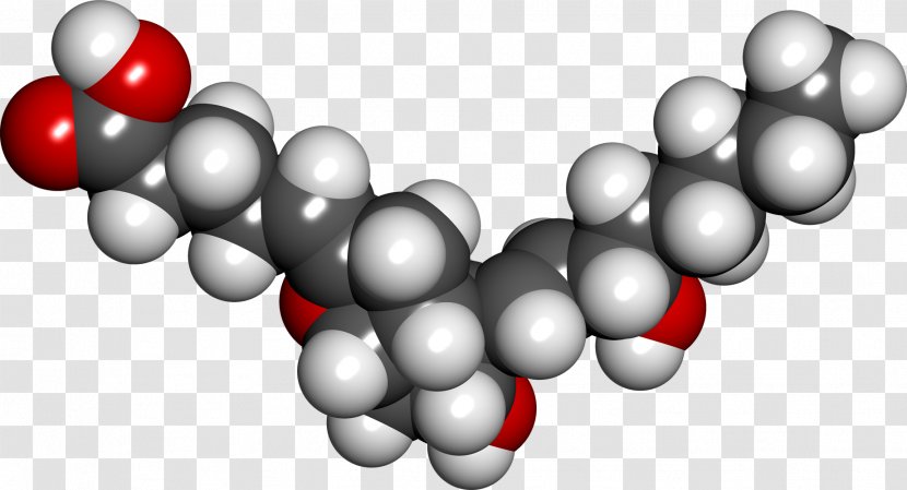 Prostacyclin Eicosanoid Prostaglandin Pulmonary Hypertension Beraprost - Arachidonic Acid Transparent PNG