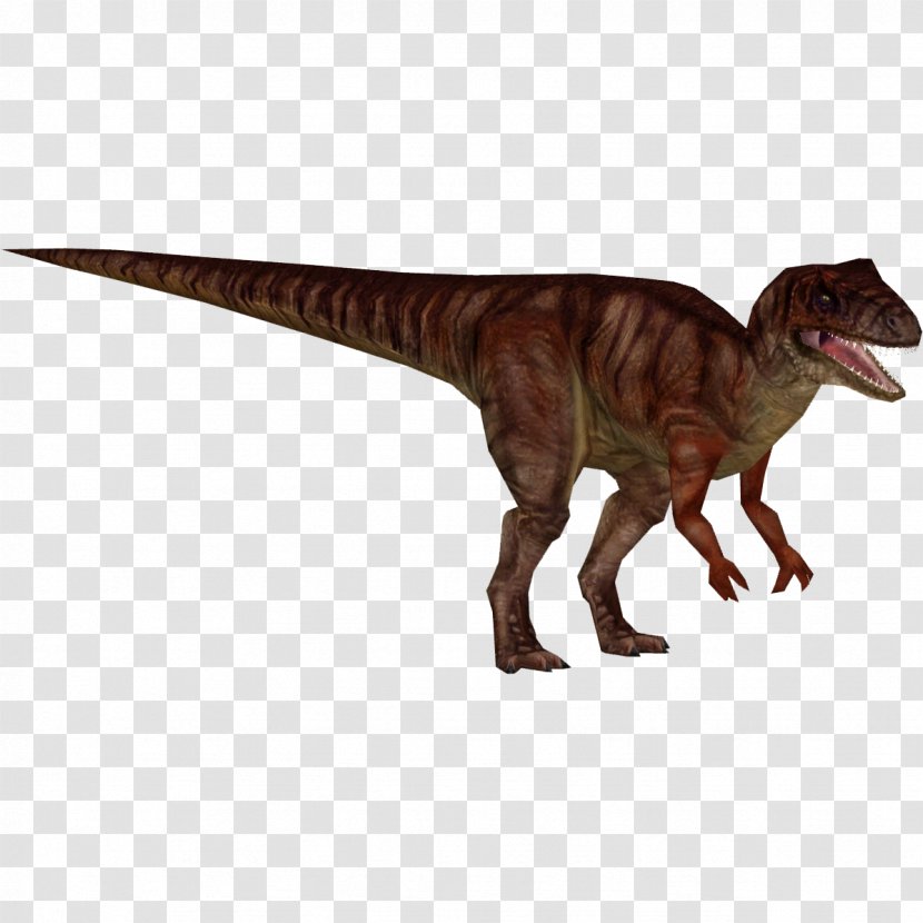 Jurassic Park: Operation Genesis Allosaurus Zoo Tycoon 2 Velociraptor Tyrannosaurus - Terrestrial Animal - Park Transparent PNG