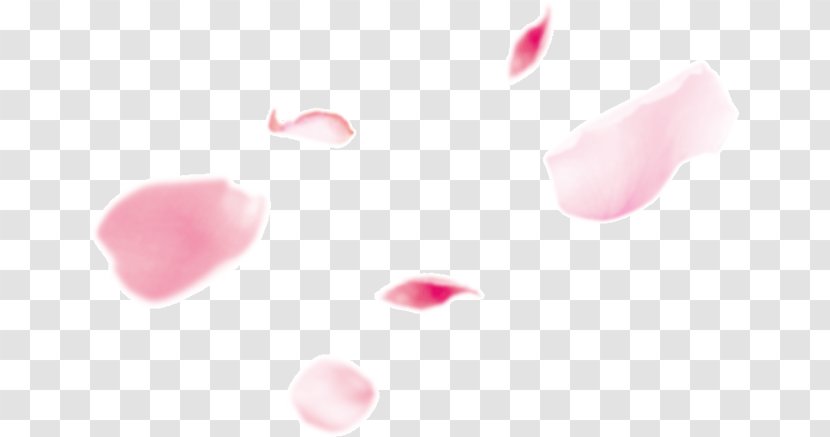 Petal - Heart - Peach Petals Floating Transparent PNG