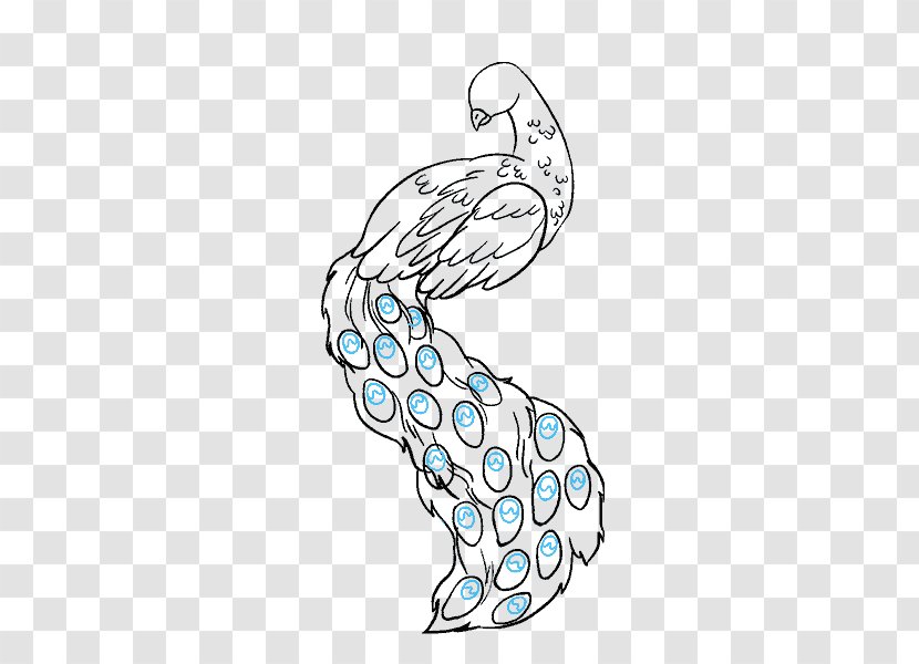 Drawing Pavo Art Sketch - Silhouette - Feather Transparent PNG