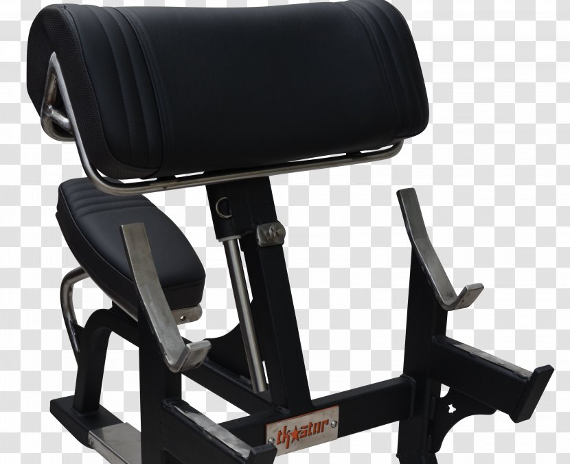 Bench Furniture Exercise Equipment Fitness Centre Strength Training - Physical - Preacher Transparent PNG