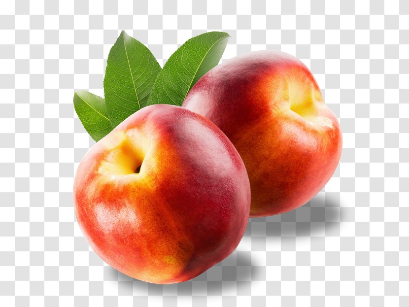 Nectarine Fruit Food Auglis ChooseMyPlate - Mirabelle Plum - Vegetable Transparent PNG