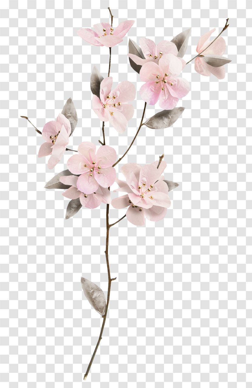 Cut Flowers Floral Design Floristry - Pink - Log Texture Transparent PNG