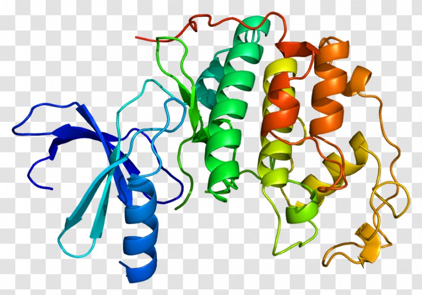 Cyclin-dependent Kinase 2 Protein Transparent PNG