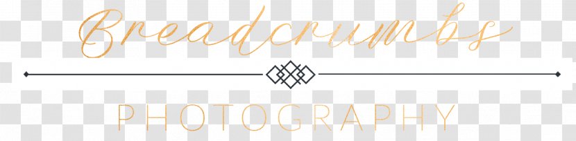 Paper Line Art Calligraphy Font - Tree - Logo Photography Transparent PNG