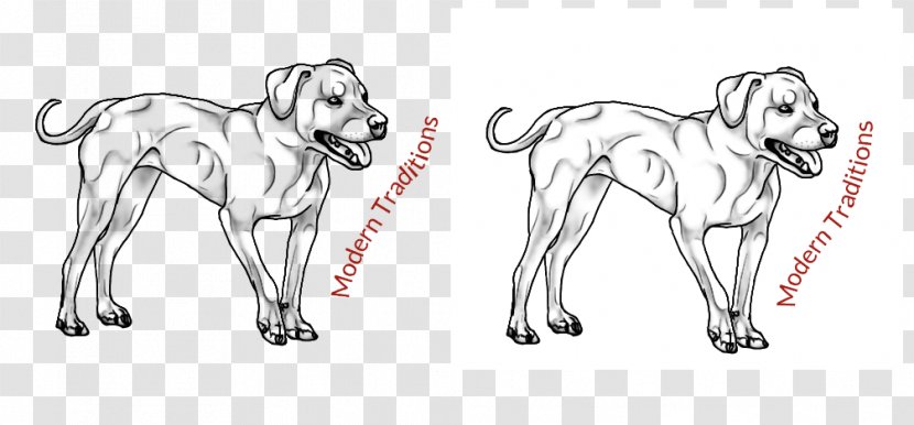 Dog Breed Line Art Drawing Sketch - Cartoon - Straditional Culture Transparent PNG
