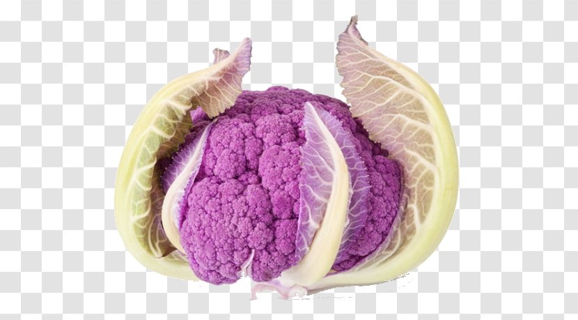 Cauliflower Stock Photography Purple - Cabbage - Leave The Vegetable Material Transparent PNG