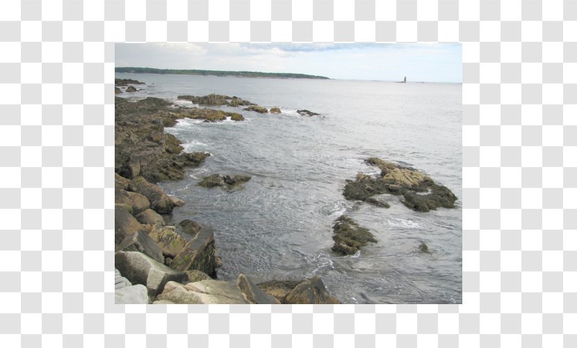 Coast Shore Promontory Headland Tide - Wood Transparent PNG