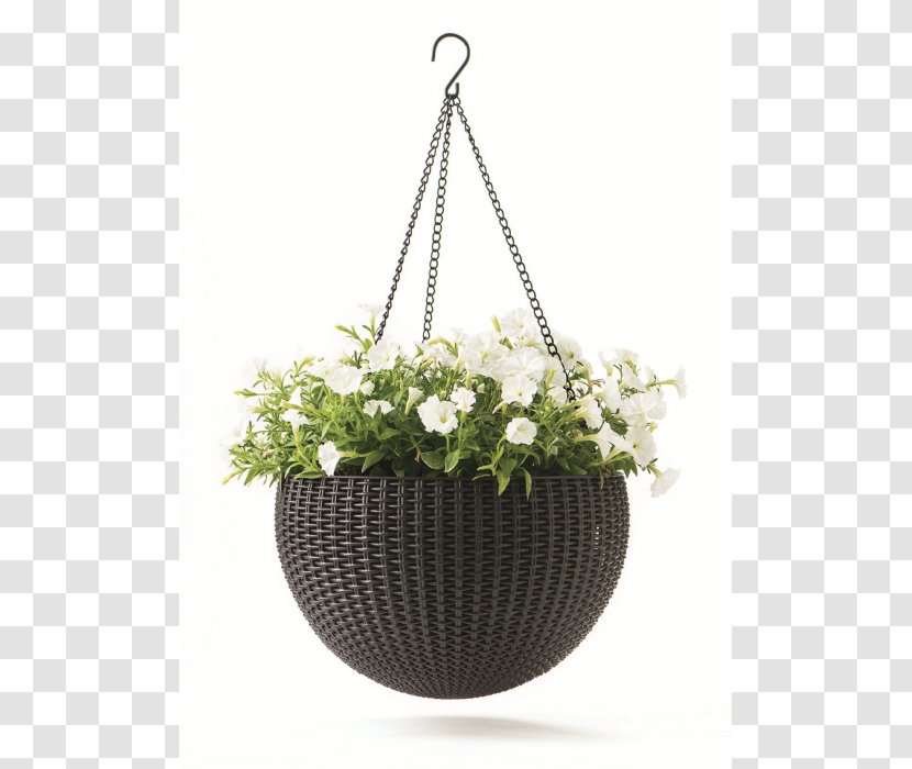 Hanging Basket Flowerpot Keter Plastic Garden - Watering Cans - Flwers Transparent PNG