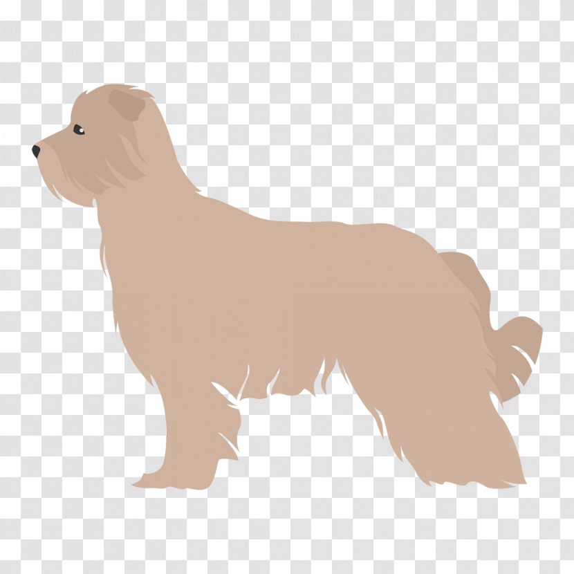 Golden Retriever Dog Breed Puppy Companion Pyrenean Shepherd Transparent PNG