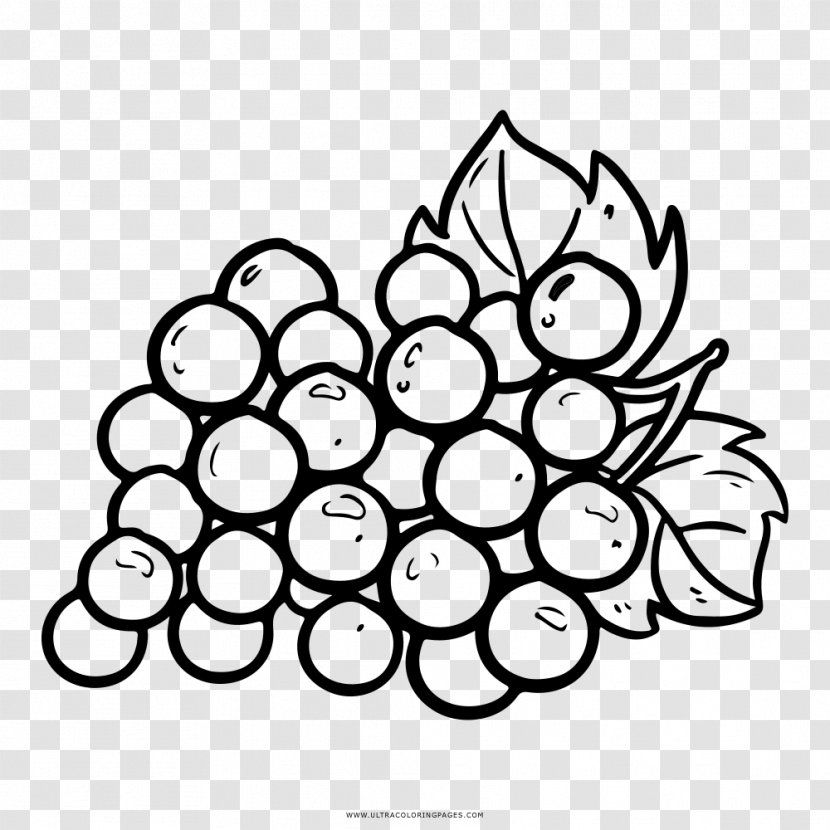 Grapevines Coloring Book Fruit - Web Page - Grape Transparent PNG