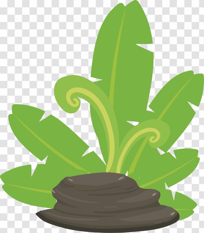 Green Leaf - Flower - Plant Stone Vector Transparent PNG