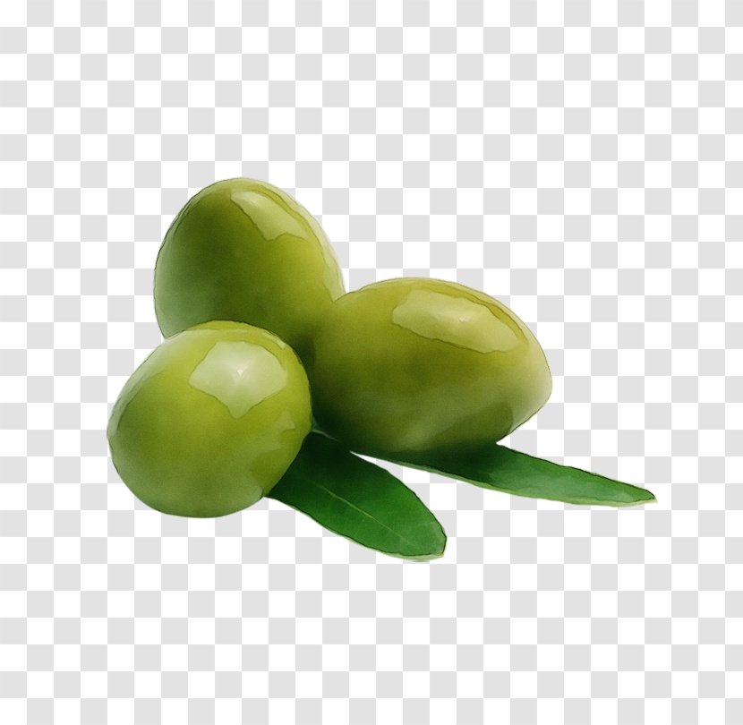 Green Olive Fruit Plant Food - Flower - Vegetable Transparent PNG