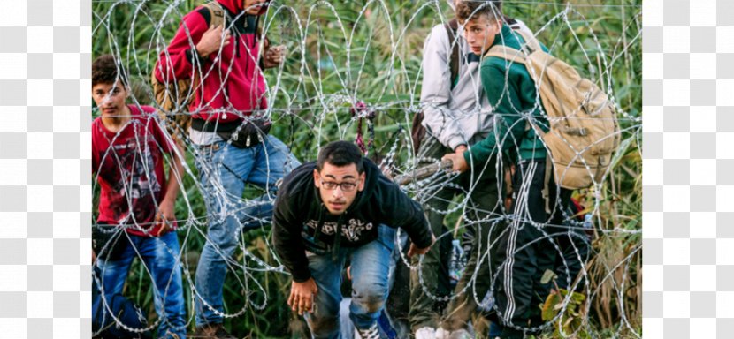 European Migrant Crisis Refugee Human Migration Immigration - International Migrants Day Transparent PNG