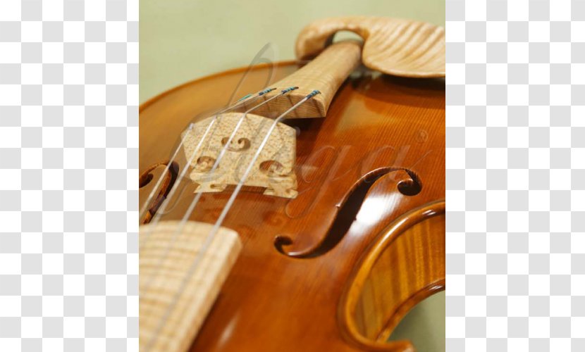Bass Violin Violone Viola Musical Instruments - Watercolor Transparent PNG