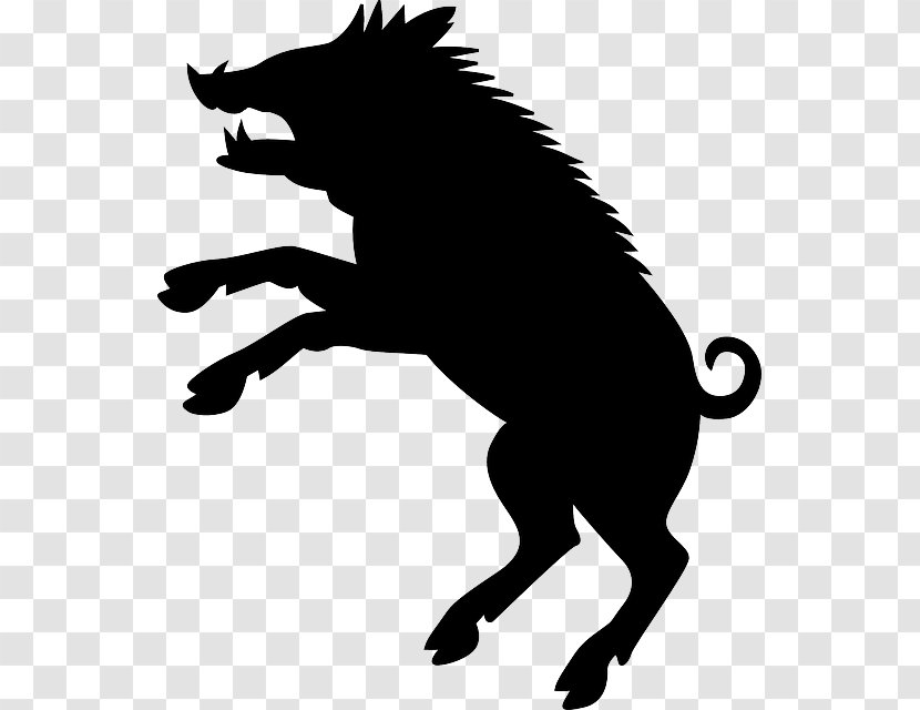 Cat Dog Black And White Silhouette - Like Mammal - Boar Transparent PNG