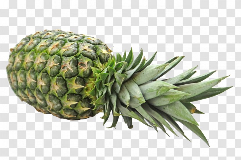 Pineapple Fruit Organic Food - Plant Transparent PNG