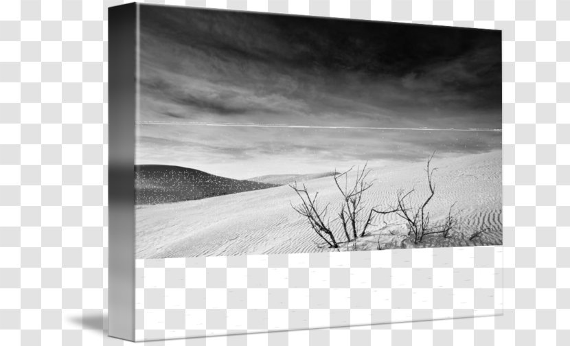 Picture Frames Stock Photography Drawing - Landscape - Sand DESERT Transparent PNG