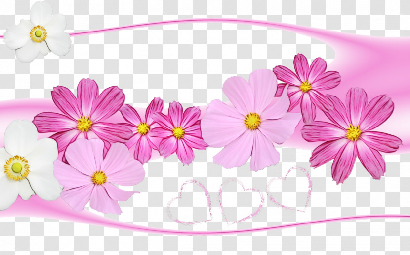 Pink Flower Petal Plant Wildflower Transparent PNG