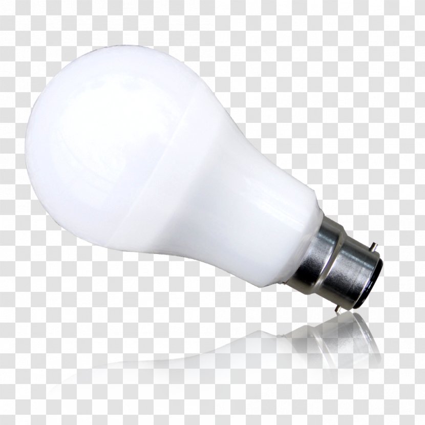 Lighting - Daily Light Bulbs Transparent PNG