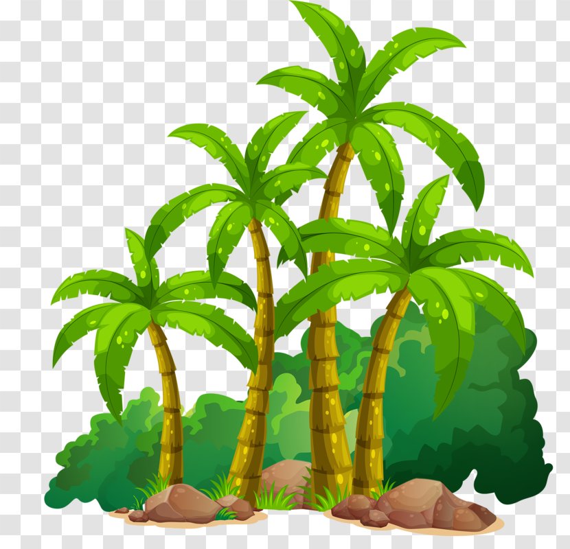 Coconut Clip Art - Herbalism - Hainan Transparent PNG