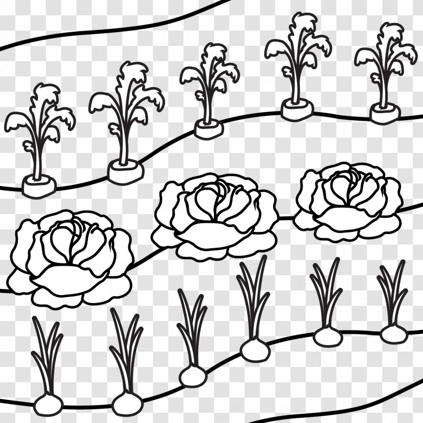 Gardening Lawn Mowers Gladiolus Longicollis - Bulb - Riborn Symbol Transparent PNG