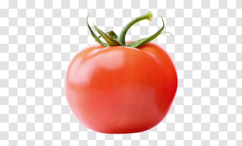 Plum Tomato Vegetarian Cuisine Food Vegetable - Nightshade Transparent PNG